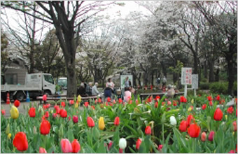 日常風景